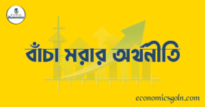 বাঁচা মরার অর্থনীতি