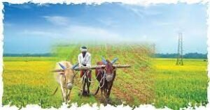 কৃষি